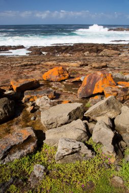 Güzel kıyı şeridi ve okyanus manzarası. 