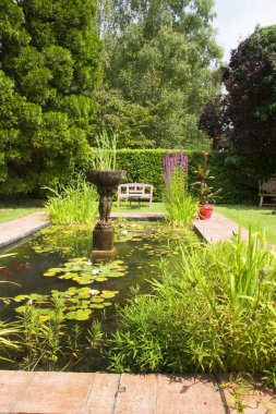 Güzel bir bahçe manzarası