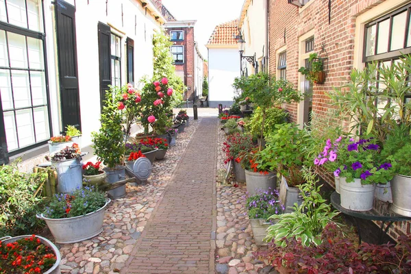 オランダのエルブルク村の家のファサードは — ストック写真