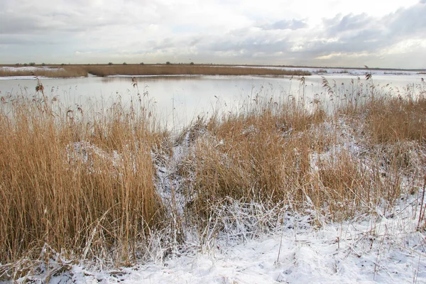 Winterlandschaft Mit Schnee Und Bäumen — Stockfoto