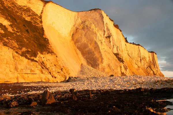 Deniz kıyısının güzel manzarası
