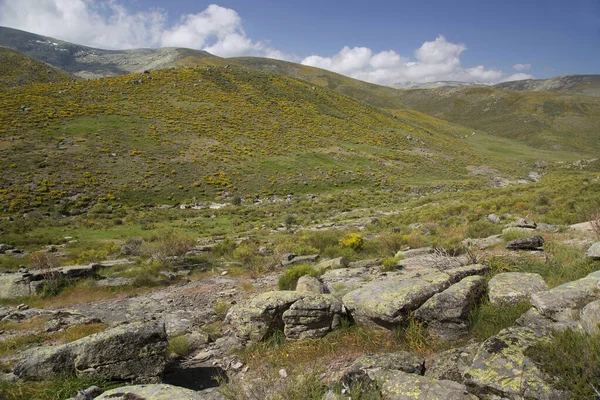 Dağların güzel manzarası