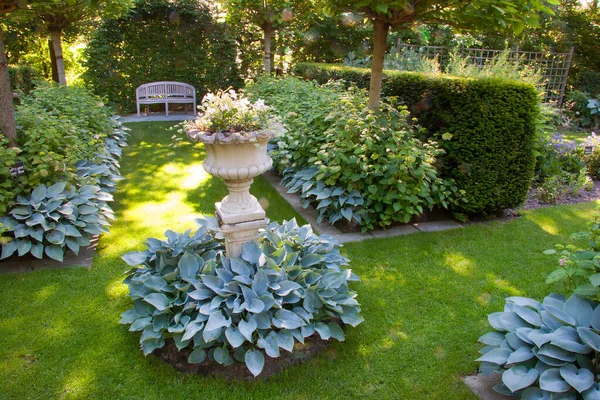 Bahçedeki güzel çiçekler