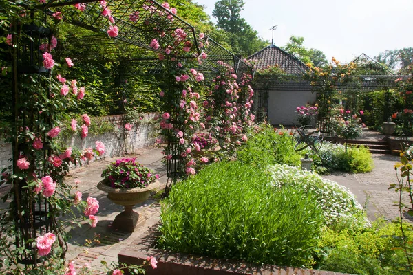 Bujny Zielony Ogród Scena Kwitnących Kwiatów — Zdjęcie stockowe