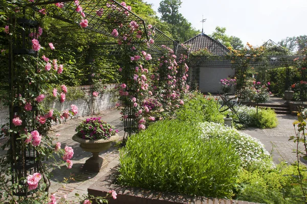 Çiçekli yemyeşil bahçe sahnesi