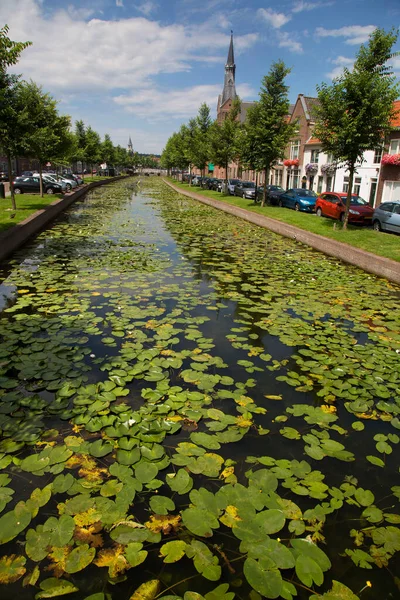Vista Ciudad Weesp Escena Luz Del Día Países Bajos —  Fotos de Stock