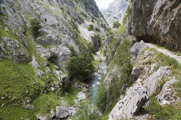 Dağ nehrinin güzel manzarası