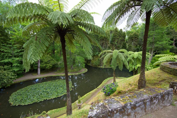 Yeşil yapraklı güzel tropikal bahçe