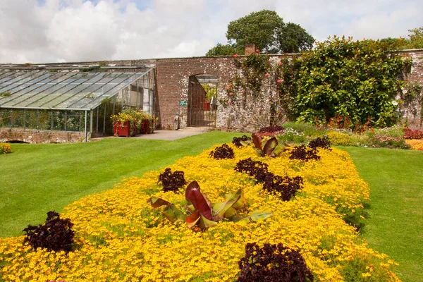 Yaz bahçesinde güzel çiçekler