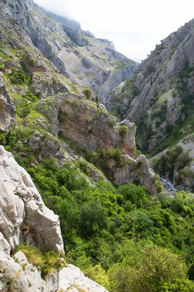 Dağların güzel manzarası