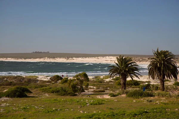 Deniz kıyısının güzel manzarası 