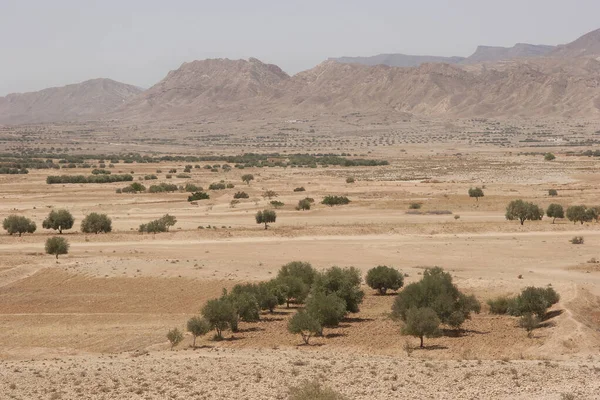 Krajobraz Pustyni Negew — Zdjęcie stockowe
