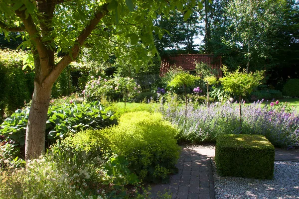 Beautiful Garden Summer — Stock Photo, Image