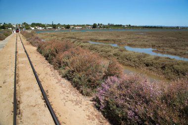 Praia do Barril, Portekiz 'in Tavira bölgesindeki en iyi plajlardan biridir. 