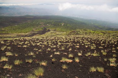 Etna Dağı 'nın krater kenarı lav tarlaları ve dik yamaçlar. Çakıl taşlarıyla kaplı. Güçlü öncü bitkiler tarafından büyütülmüş.