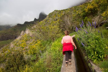 Madeira adasının tipik beton Levada sulama kanalı aynı zamanda orman volkanik dağları boyunca turistik bir yürüyüş rotasıdır.