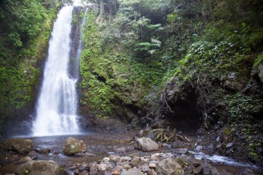 Ormanda güzel bir şelale