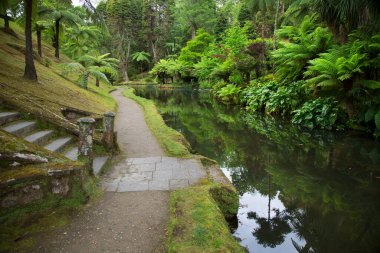 Parkın güzel manzarası