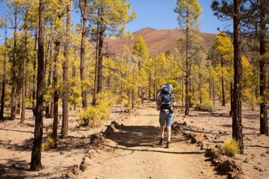 Dağlarda sırt çantalı tanınmayan turistler. Dağlarda sonbahar konsepti.