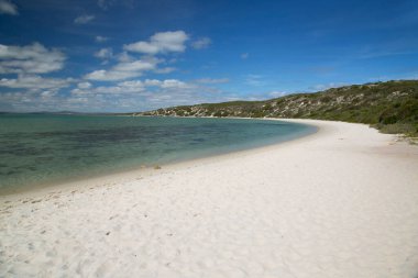 Deniz ve mavi gökyüzü olan güzel sahil
