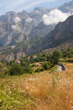 Yazın dağların manzarası