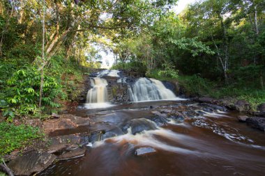 Tropikal ormanda akan kayalık nehir manzarası