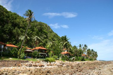 Mavi gökyüzü ve denizi olan tropik plaj