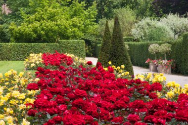 Yeşillik ve çiçek açan güzel botanik bahçesi