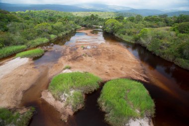 Tropikal yeşillik ve nehir manzarası