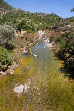 Dağlardaki nehrin güzel manzarası