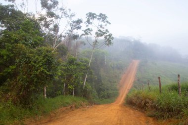 Tropikal ormandan geçen güzel bir yol manzarası