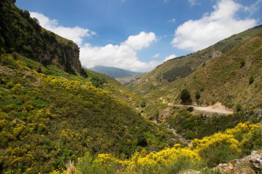Dağlarla güzel bir manzara.