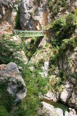 Dağlardaki doğal nehir manzarası