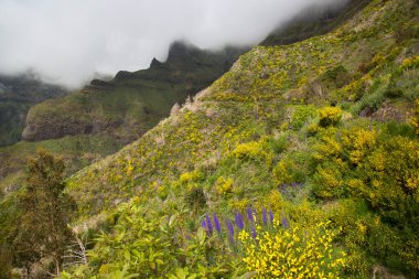 Dağların güzel manzarası