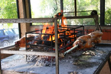 Domuz barbekü tükürüğünde kızarıyor.