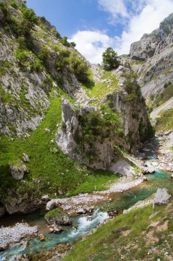 Yeşil ağaçları ve mavi gökyüzü olan güzel dağ manzarası