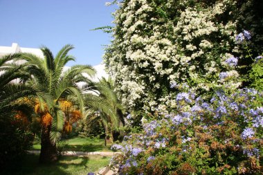 Parkın güzel manzarası