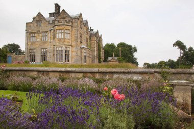 Güzel şato mimarisinin manzarası.