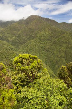Dağların güzel manzarası