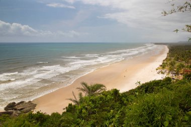 Palmiye ağaçları olan güzel tropikal plaj