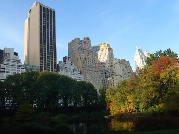 New York şehrinin manzarası