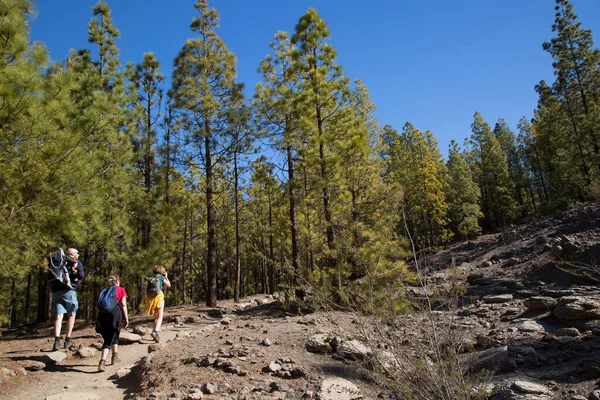 Dağlarda sırt çantalı tanınmayan turistler. Dağlarda sonbahar konsepti.