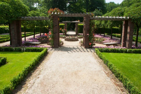 Hermosa Escena Jardín Con Flores Flor Luz Del Sol — Foto de Stock