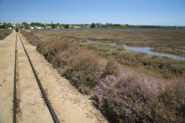 Praia Barril Una Delle Migliori Spiagge Visitare Nella Zona Tavira — Foto Stock