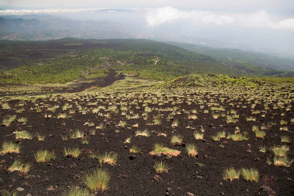 Etna Dağı 'nın krater kenarı lav tarlaları ve dik yamaçlar. Çakıl taşlarıyla kaplı. Güçlü öncü bitkiler tarafından büyütülmüş.
