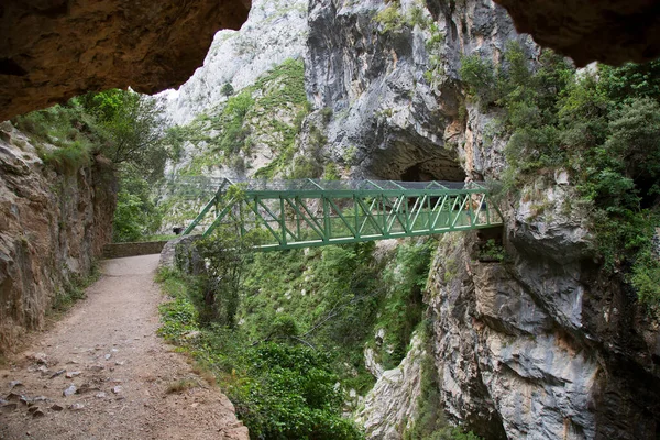 Dağlardaki köprünün manzarası