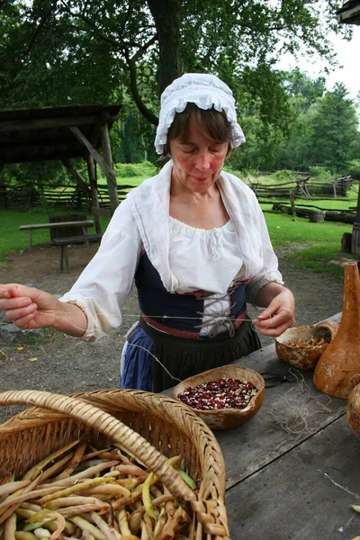 Portrét Ženy Tradičním Kostýmu — Stock fotografie