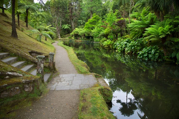 Parkın güzel manzarası