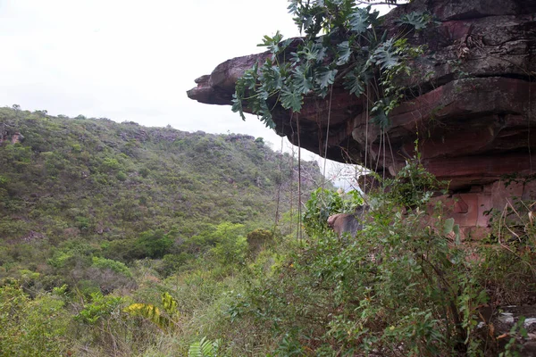 Taşlı ve yeşillikli güzel manzara