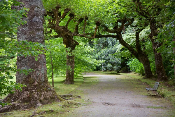 公園の美しい景色 — ストック写真